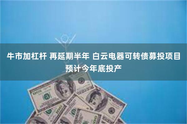 牛市加杠杆 再延期半年 白云电器可转债募投项目预计今年底投产