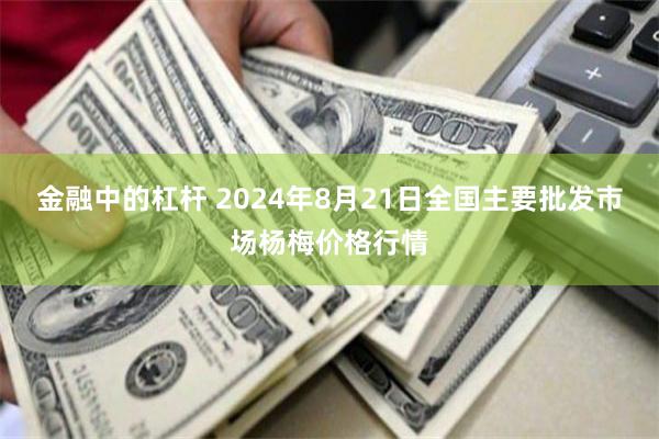 金融中的杠杆 2024年8月21日全国主要批发市场杨梅价格行情