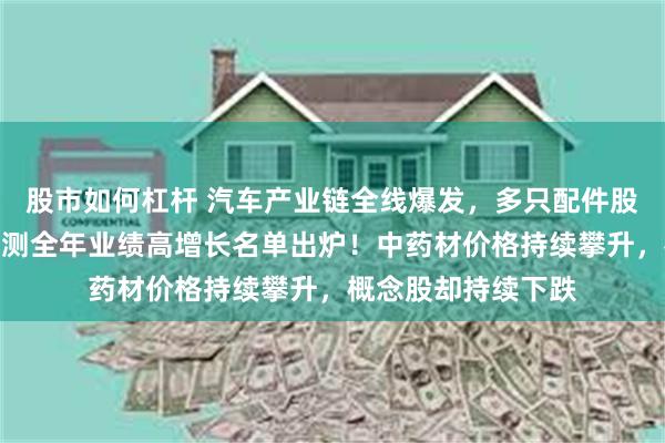 股市如何杠杆 汽车产业链全线爆发，多只配件股连续涨停，机构预测全年业绩高增长名单出炉！中药材价格持续攀升，概念股却持续下跌