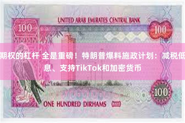 期权的杠杆 全是重磅！特朗普爆料施政计划：减税低息、支持TikTok和加密货币