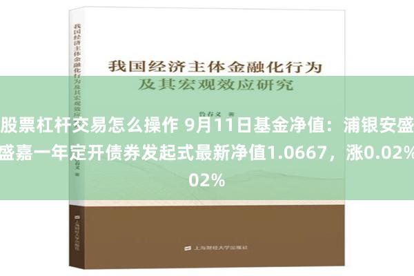 股票杠杆交易怎么操作 9月11日基金净值：浦银安盛盛嘉一年定开债券发起式最新净值1.0667，涨0.02%