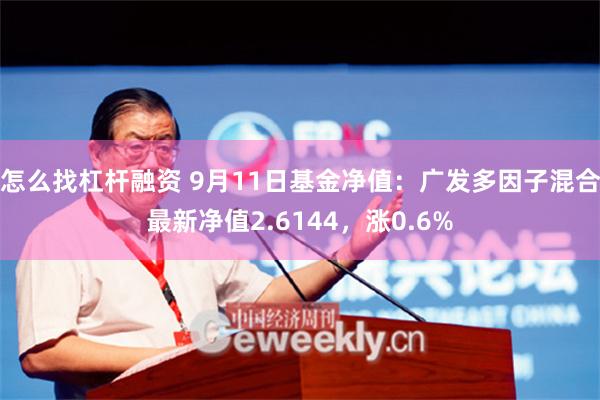 怎么找杠杆融资 9月11日基金净值：广发多因子混合最新净值2.6144，涨0.6%