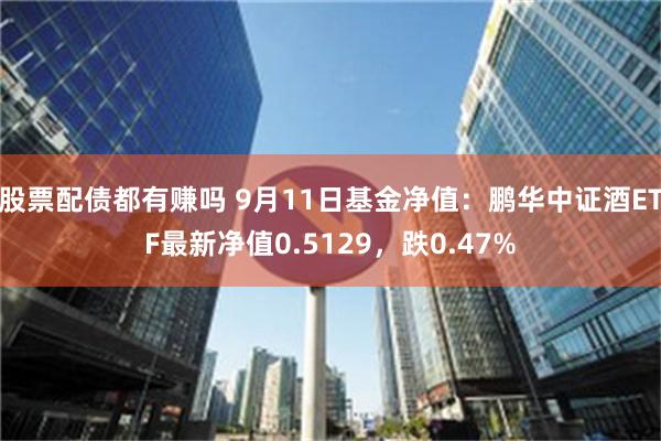 股票配债都有赚吗 9月11日基金净值：鹏华中证酒ETF最新净值0.5129，跌0.47%