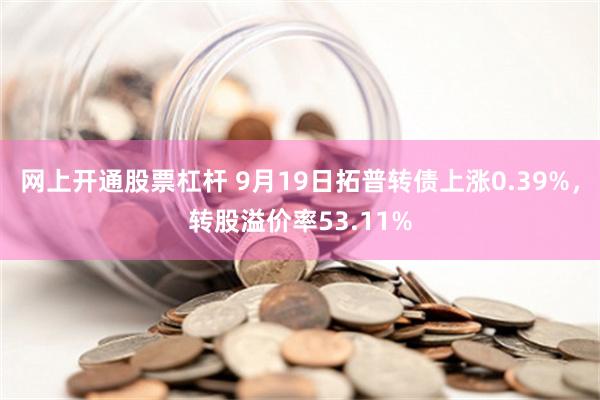 网上开通股票杠杆 9月19日拓普转债上涨0.39%，转股溢价率53.11%