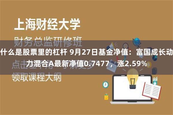 什么是股票里的杠杆 9月27日基金净值：富国成长动力混合A最新净值0.7477，涨2.59%