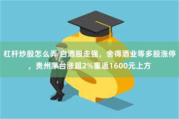 杠杆炒股怎么弄 白酒股走强，舍得酒业等多股涨停，贵州茅台涨超2%重返1600元上方