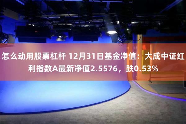 怎么动用股票杠杆 12月31日基金净值：大成中证红利指数A最新净值2.5576，跌0.53%