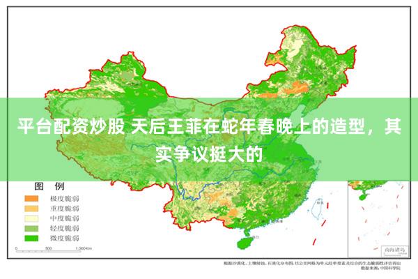 平台配资炒股 天后王菲在蛇年春晚上的造型，其实争议挺大的