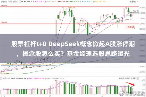 股票杠杆t+0 DeepSeek概念掀起A股涨停潮，概念股怎么买？基金经理选股思路曝光