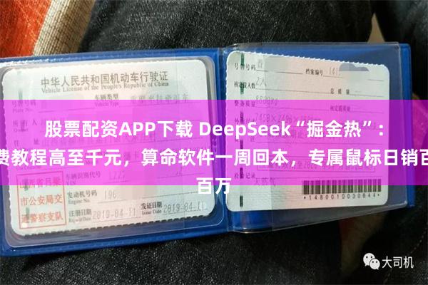 股票配资APP下载 DeepSeek“掘金热”：付费教程高至千元，算命软件一周回本，专属鼠标日销百万