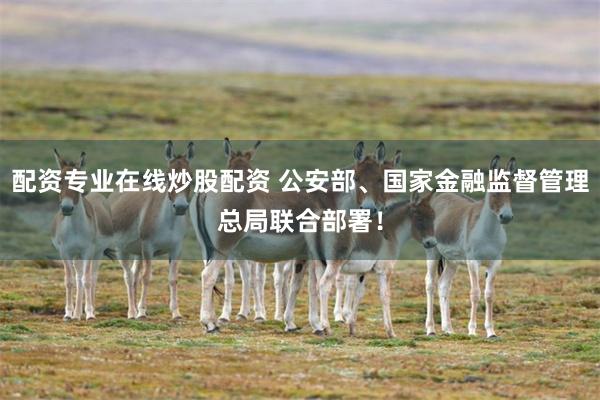 配资专业在线炒股配资 公安部、国家金融监督管理总局联合部署！