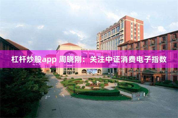 杠杆炒股app 周晓刚：关注中证消费电子指数